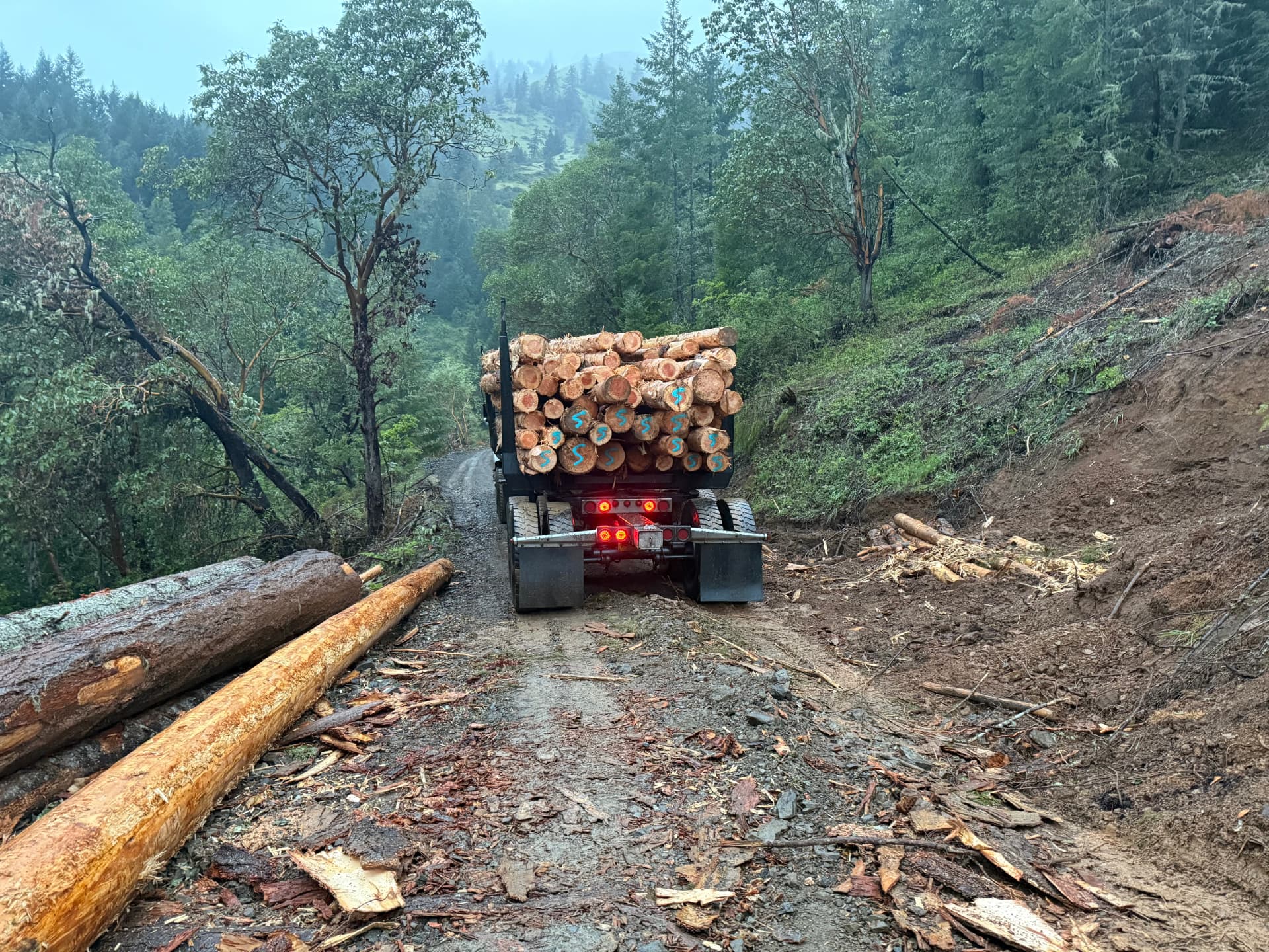 Loaded Sweeney log truck hauling out on a narrow mountain road at dawn