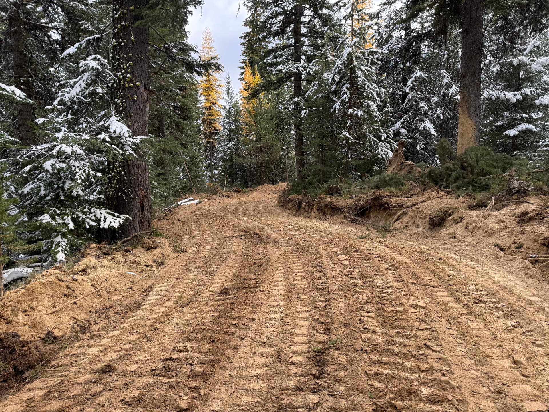 Finished forest road built through timber, graded and ready to haul on
