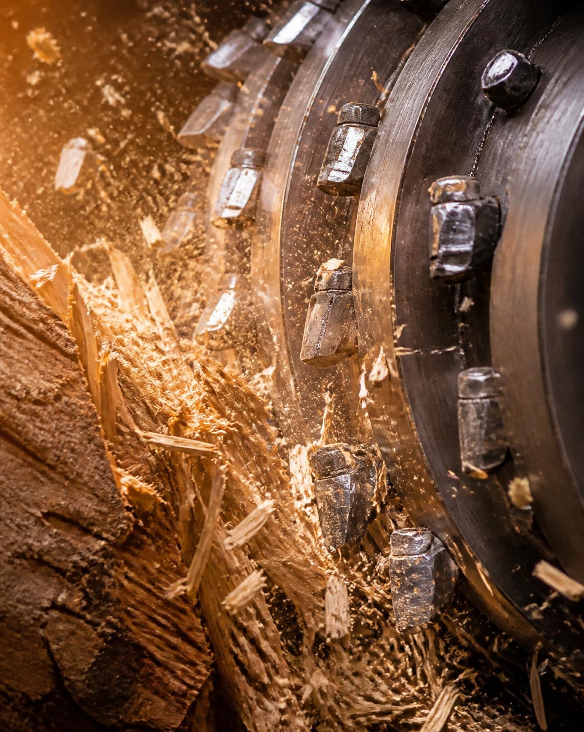 Close-up of a cutting head working a log
